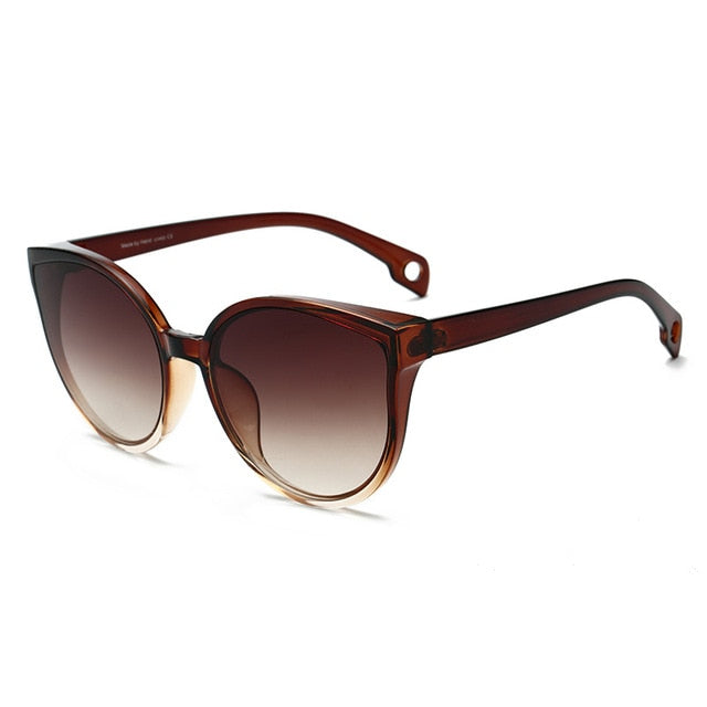 Plastic Frame Sunglasses women