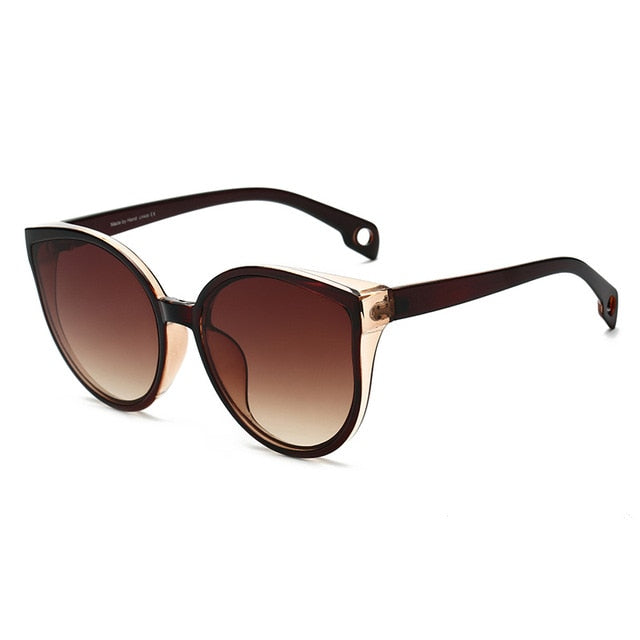 Plastic Frame Sunglasses women